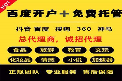 百度竞价与搜索引擎优化（SEO）的协同效应案例